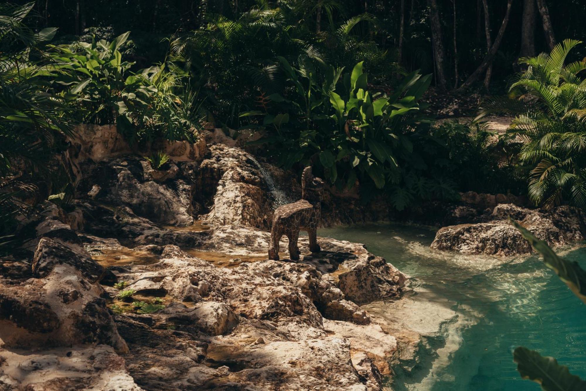 מלון Macario Gomez Amaite Retreat Tulum מראה חיצוני תמונה